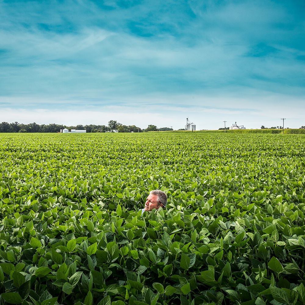 Meet your Posher, Michael